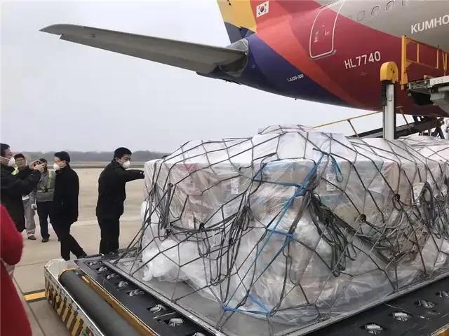 中国疫情死亡人数累计，挑战与反思之路