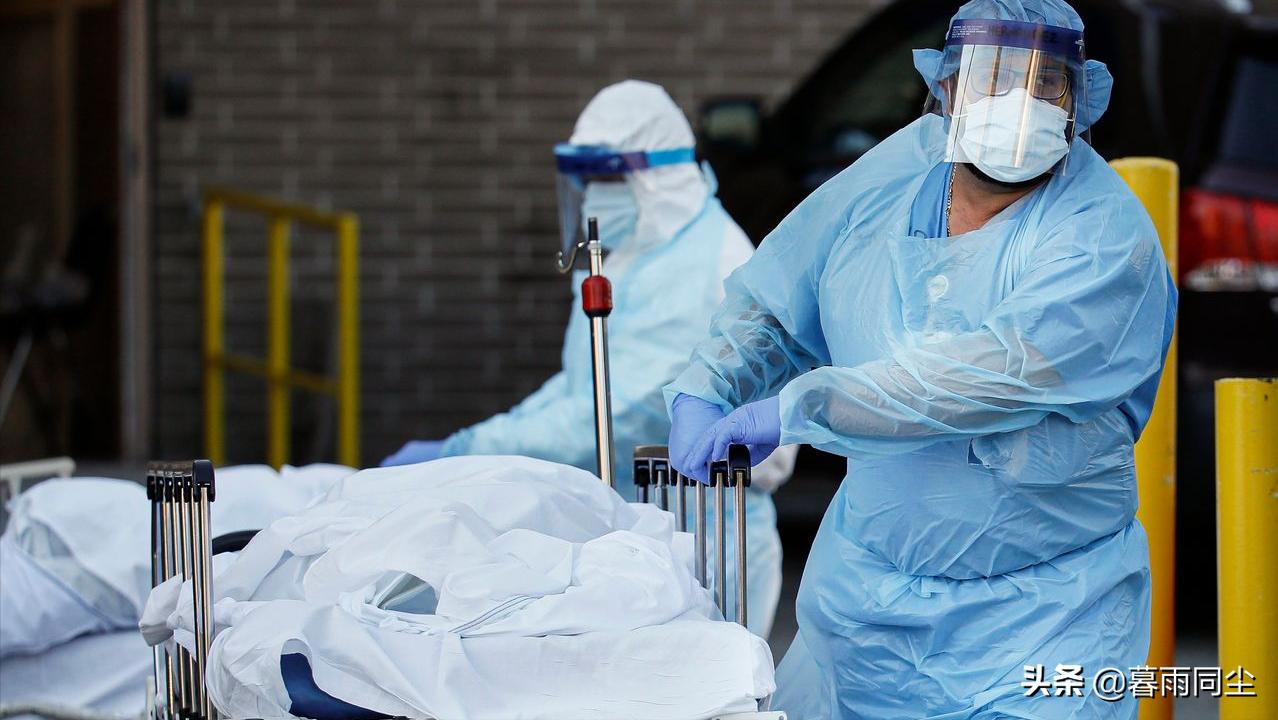 中国疫情死亡人数前五省份及应对策略解析