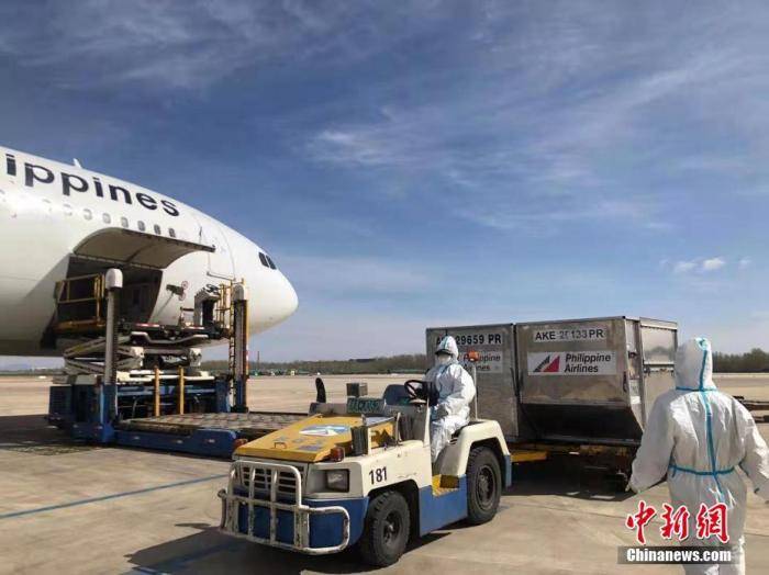 全球疫情最严峻地区死亡率揭秘，疫情重灾区揭示全球危机