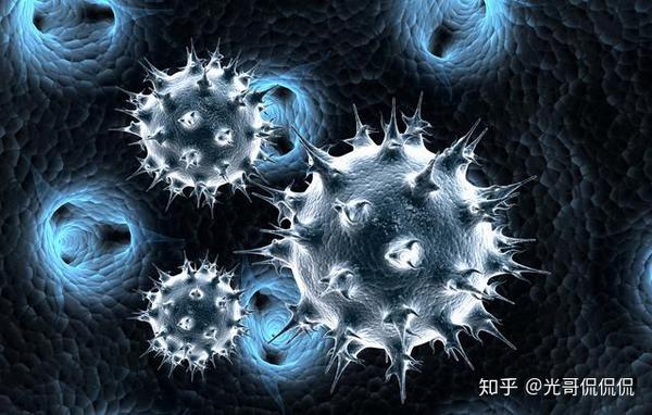 揭开疫情病毒神秘面纱，面对无形之敌的挑战