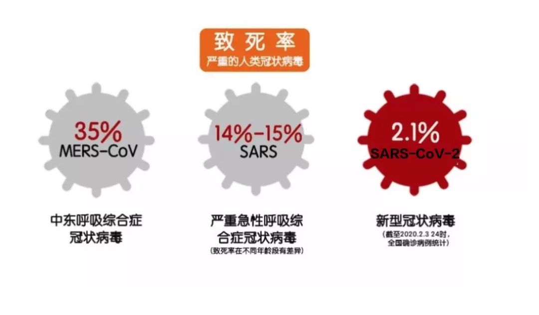 疫情之下，病毒名称及其影响探究