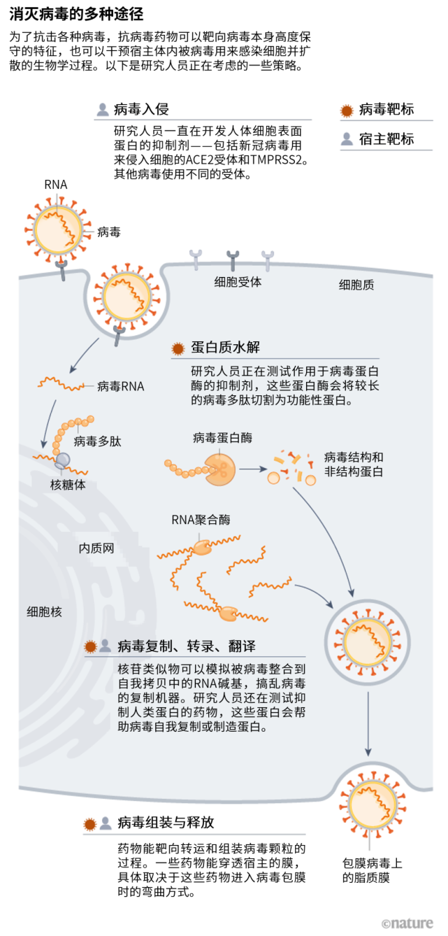 疫情病毒概述简介