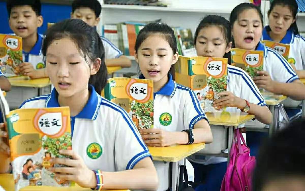 疫情期间辅导班上课是否违法的深度探讨