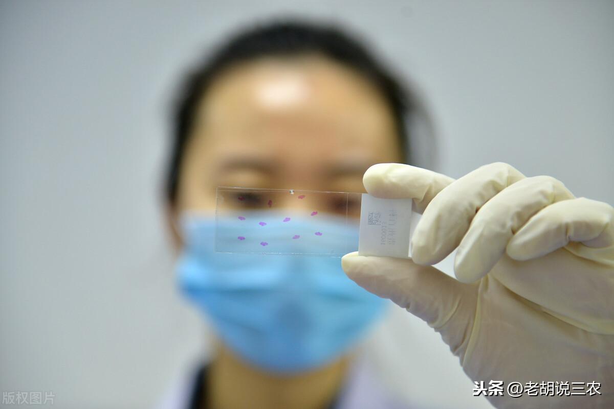疫情期间新冠病毒的挑战与应对策略