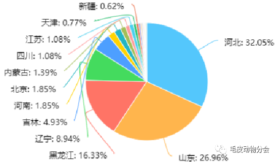 疫情病毒，独特形态、广泛影响与应对之道
