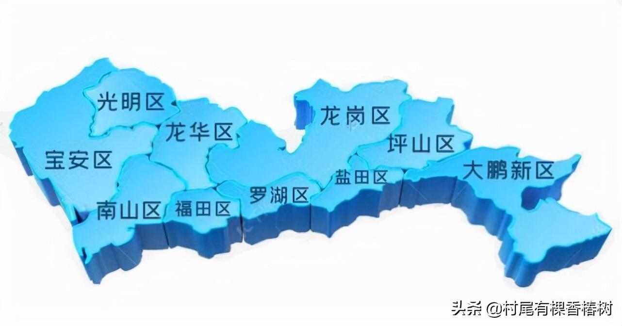 疫情时代全球挑战，应对策略与未来展望