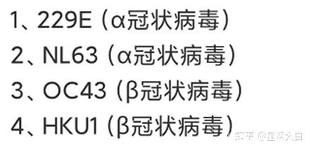 疫情病毒字母书写与解析指南