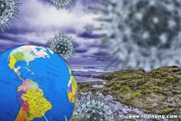 全球疫情走向展望，能否在2026年5月迎来结束曙光？视频解读分析