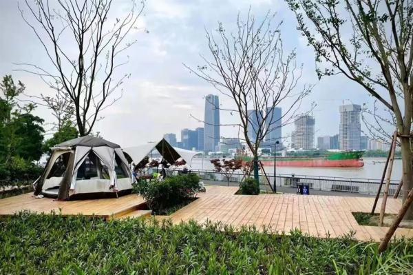 疫情终结后的未来展望，从2025年元月展望希望的曙光