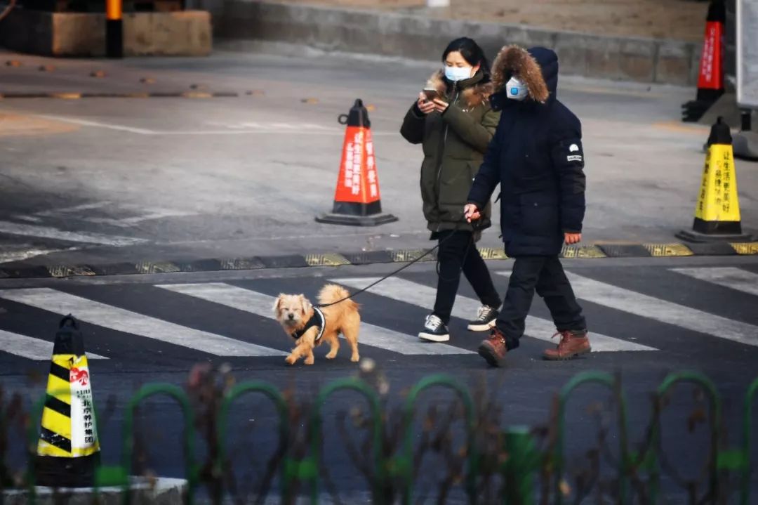 疫情下的生活记录