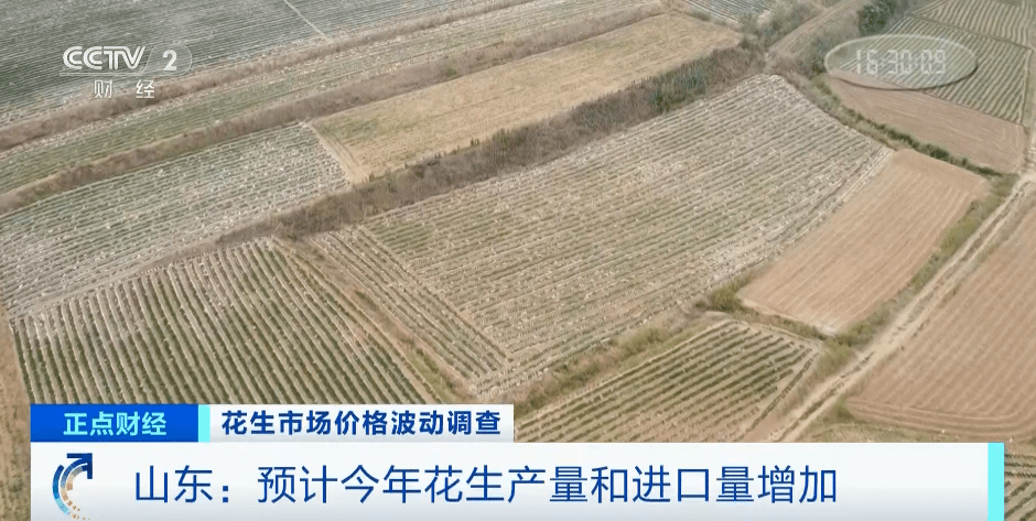 疫情下的生活蜕变与成长之路