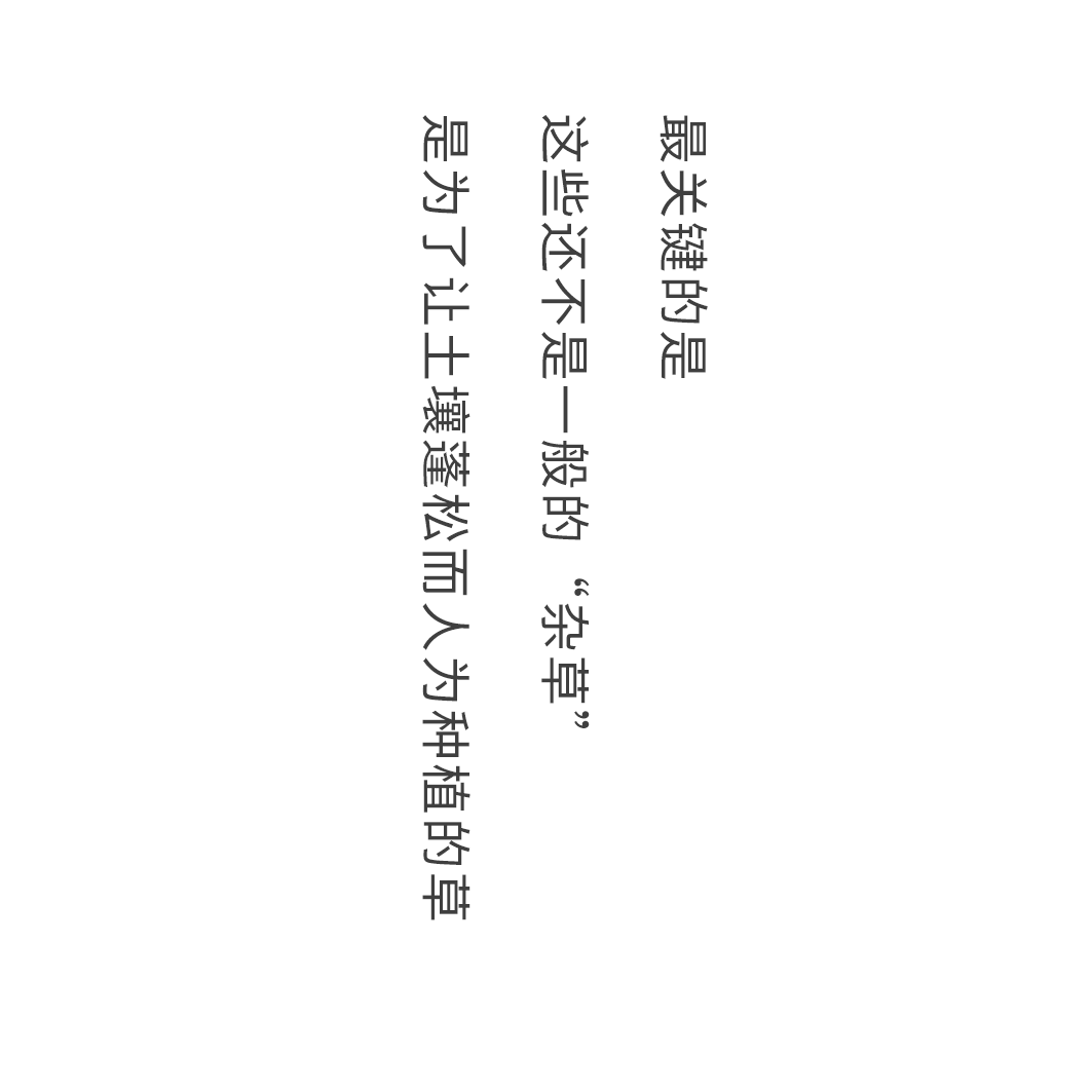 疫情下的生活蜕变与成长之路