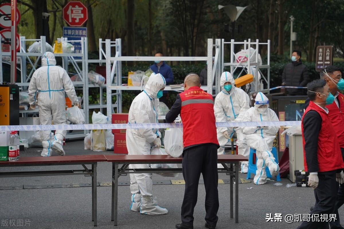 全球疫情，挑战与反思的历程