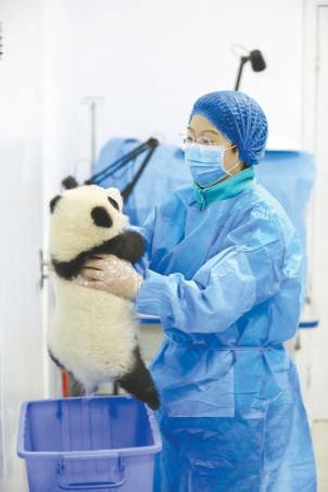 全球疫情，挑战与反思的历程
