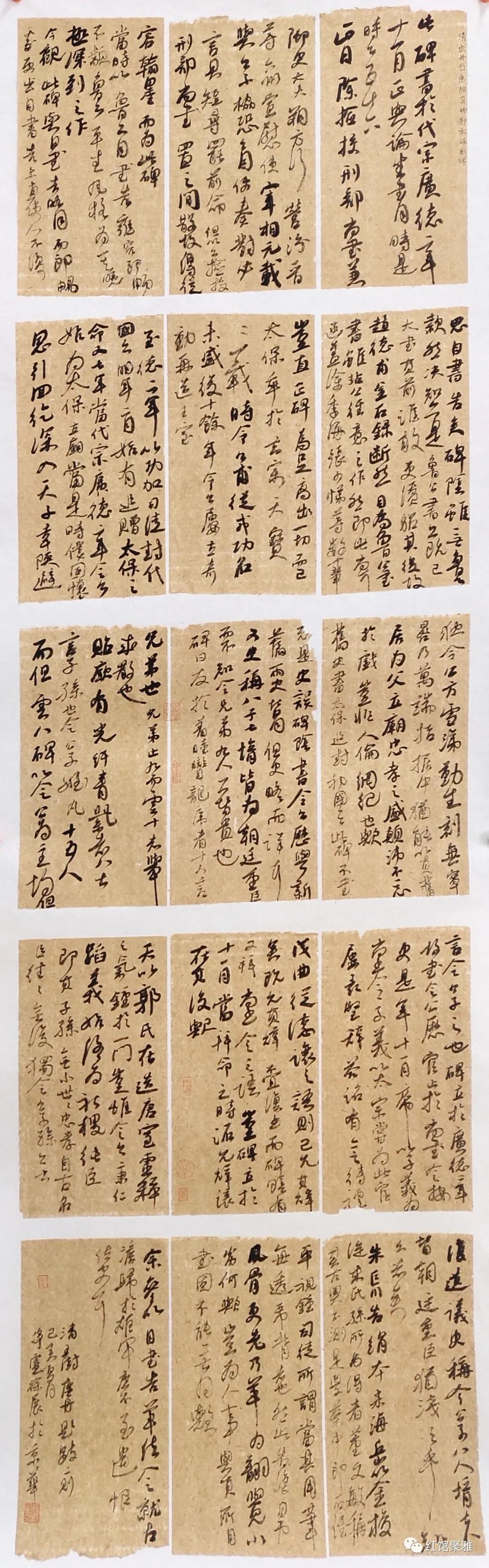 疫情名称的起源与由来探究