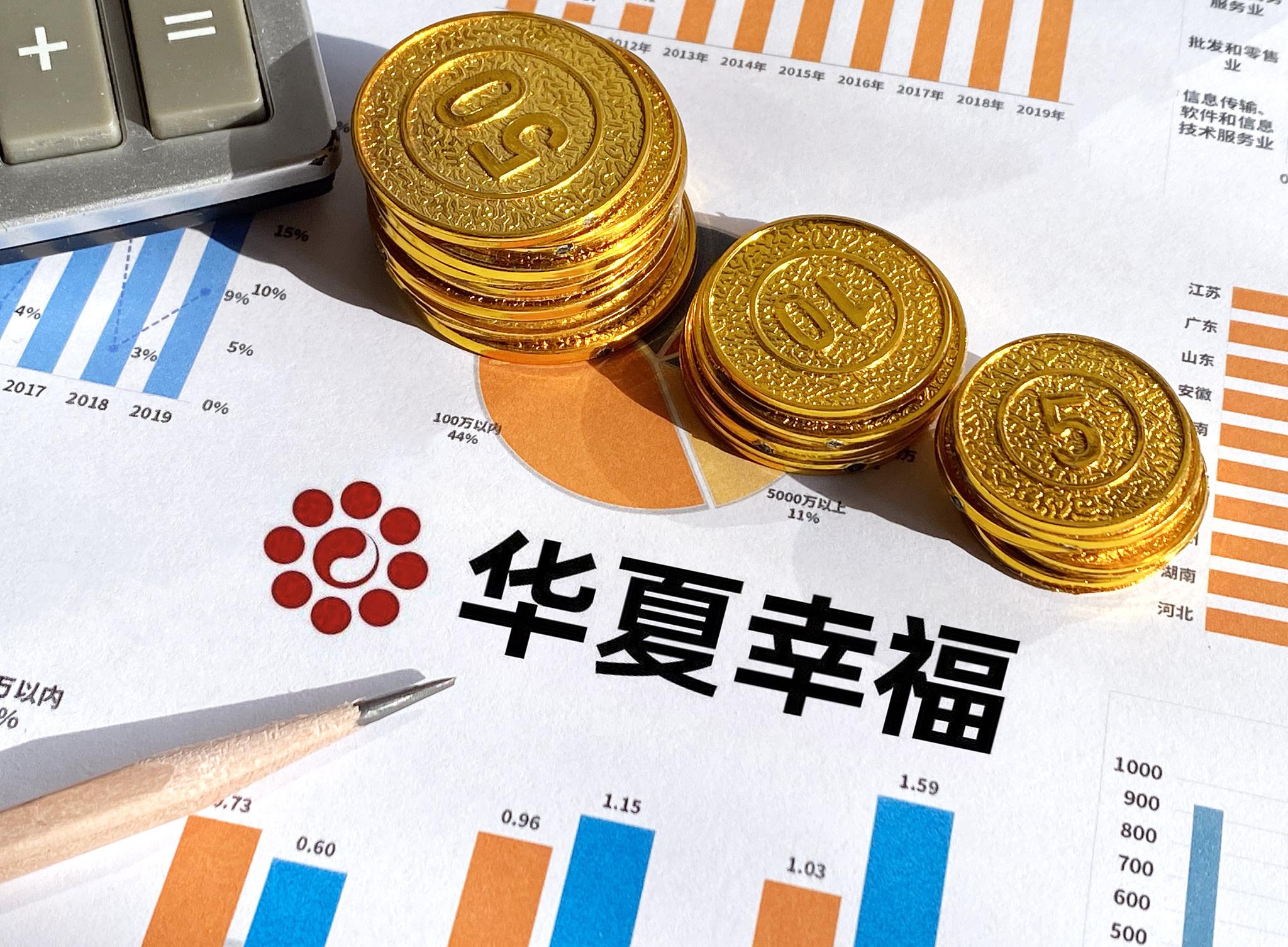 疫情后负债现象的深度剖析与观察