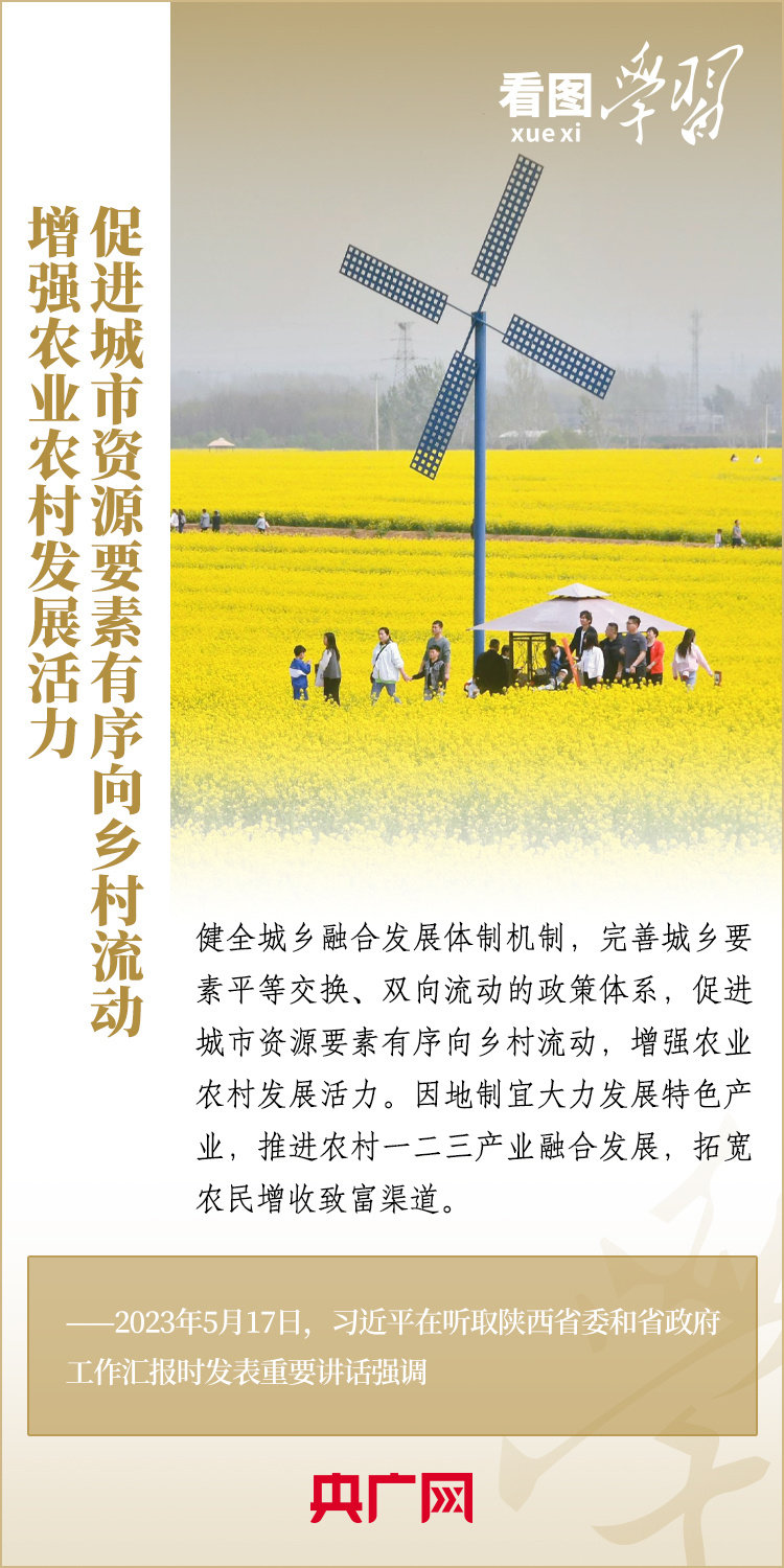 疫情三年，生活变迁与自我成长之路