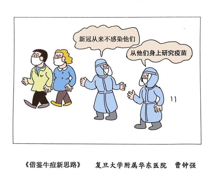 疫情回顾，感受与反思之路