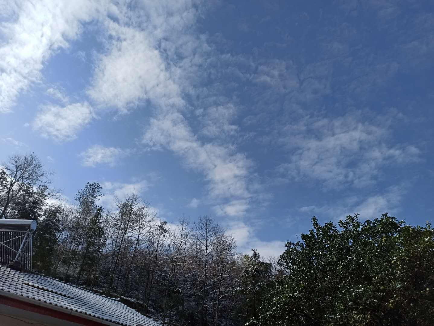 疫情三年，回望与前瞻的感慨