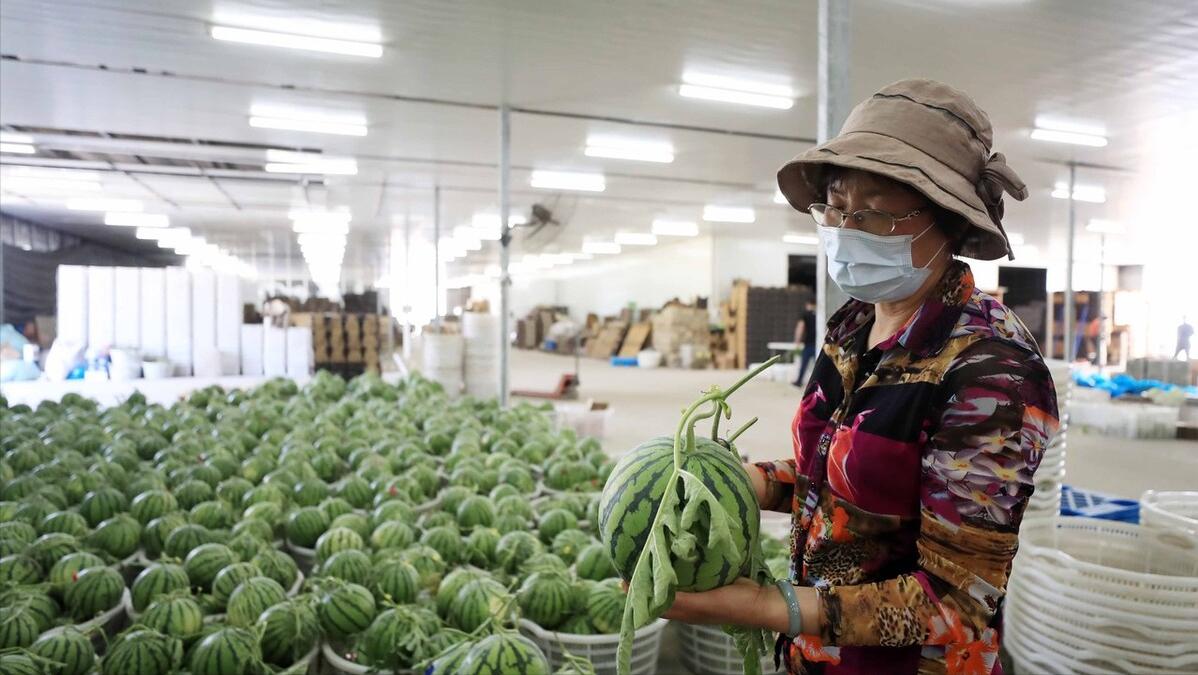 疫情背景下企业经营困境详解