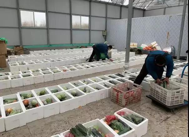 疫情后的感悟，生活的重新启程