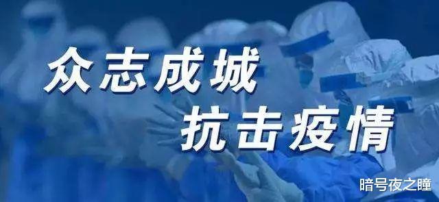 疫情全面放开后的首个春节，回顾与前瞻