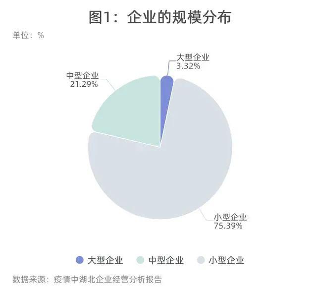 疫情后倒闭企业数量激增的深度剖析