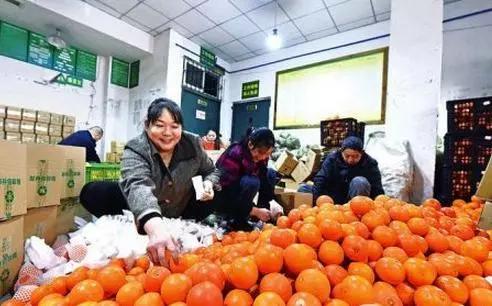 后疫情时代，社会现象与影响深度解析