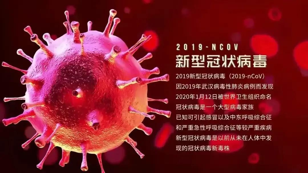 新冠疫情全面放开的时间节点及其对后续影响的探究