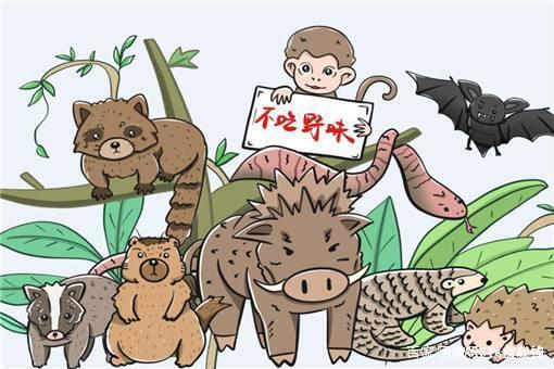 疫情之下，中国公民的回国权益与全球共同责任挑战