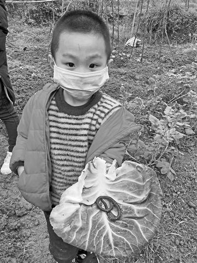 后疫情时代，持续时间探究