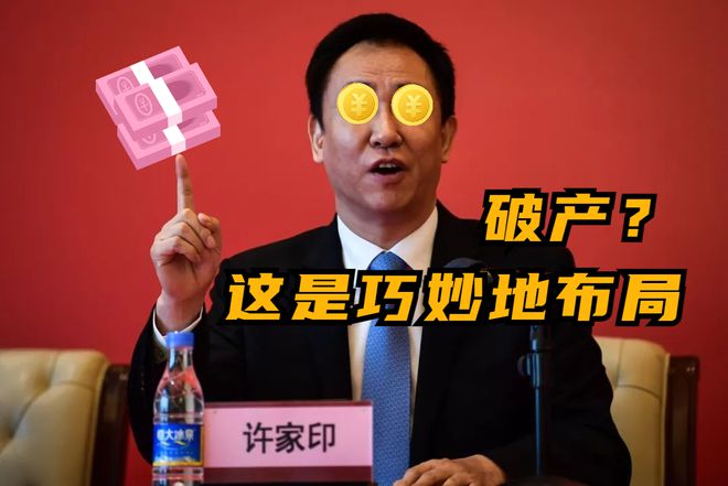 疫情之下老板破产真相揭秘，探究背后的多重困境