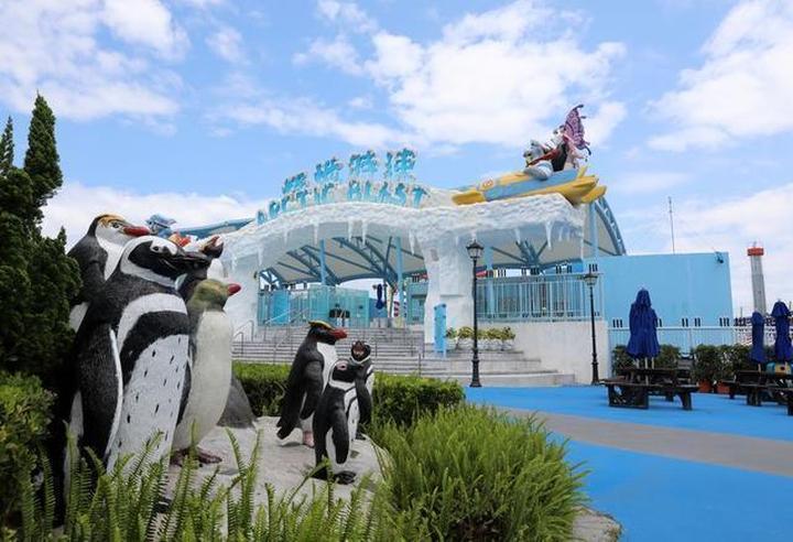 疫情期间公司破产数量激增及其经济影响分析