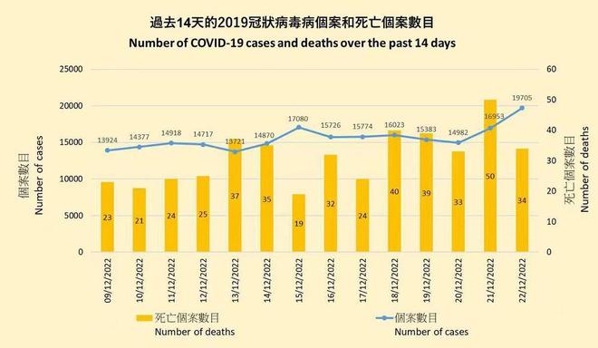 疫情放开的时间节点，回顾过去，前瞻未来