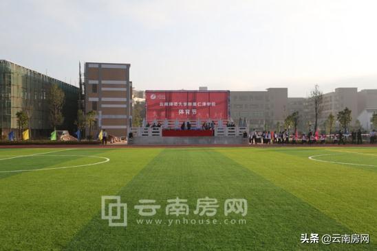 疫情之下负债累累的困境与挑战，如何应对与突破重围