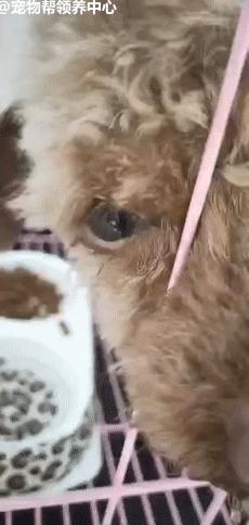 疫情之下负债累累的困境与应对策略