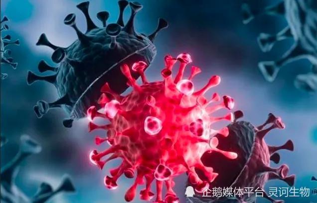 新冠疫情全面放开，曙光初照，未来充满希望