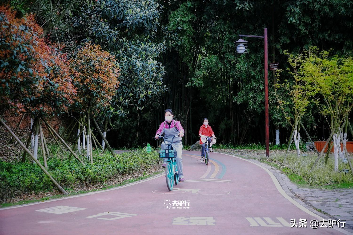 疫情解封后的重生之路，自由与希望的追寻