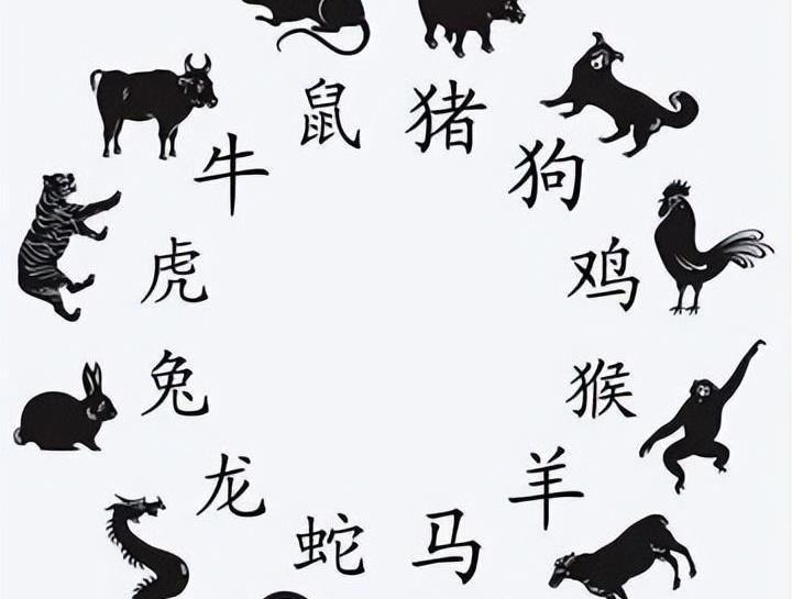 2024年中国疫情展望，防控形势分析与应对策略