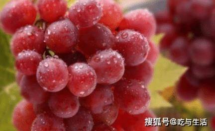 疫情下的秩序变迁，从混乱到稳定的2020年