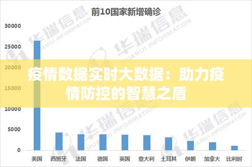 疫情分析报告，揭示疫情数据背后的故事（2019-2020年）