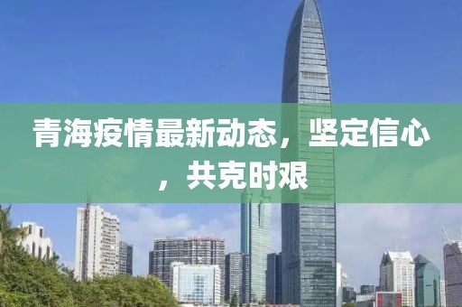 青海省政府疫情公告，坚定信心，携手共克时艰