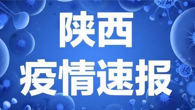 陕西省疫情最新消息全面解读与分析