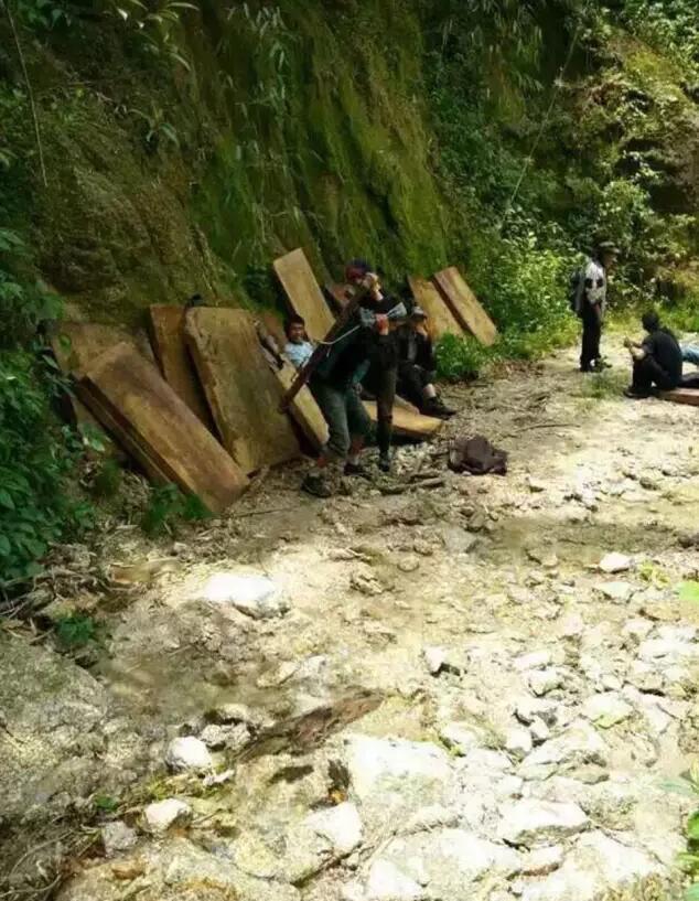 疫情之下，四川民众深山老林逃亡之路的艰辛历程