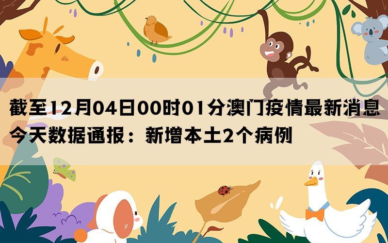 澳门疫情最新消息与动态分析简报