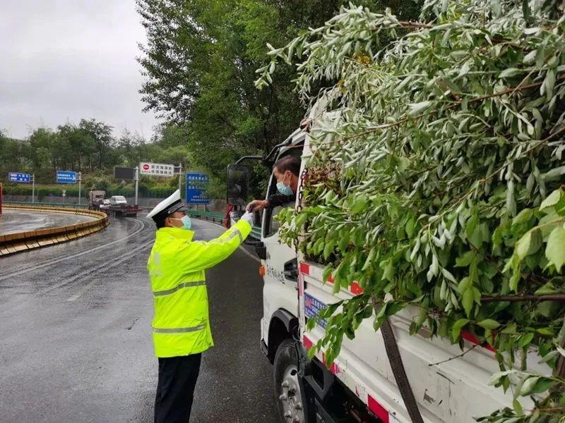 西宁疫情现状与影响分析
