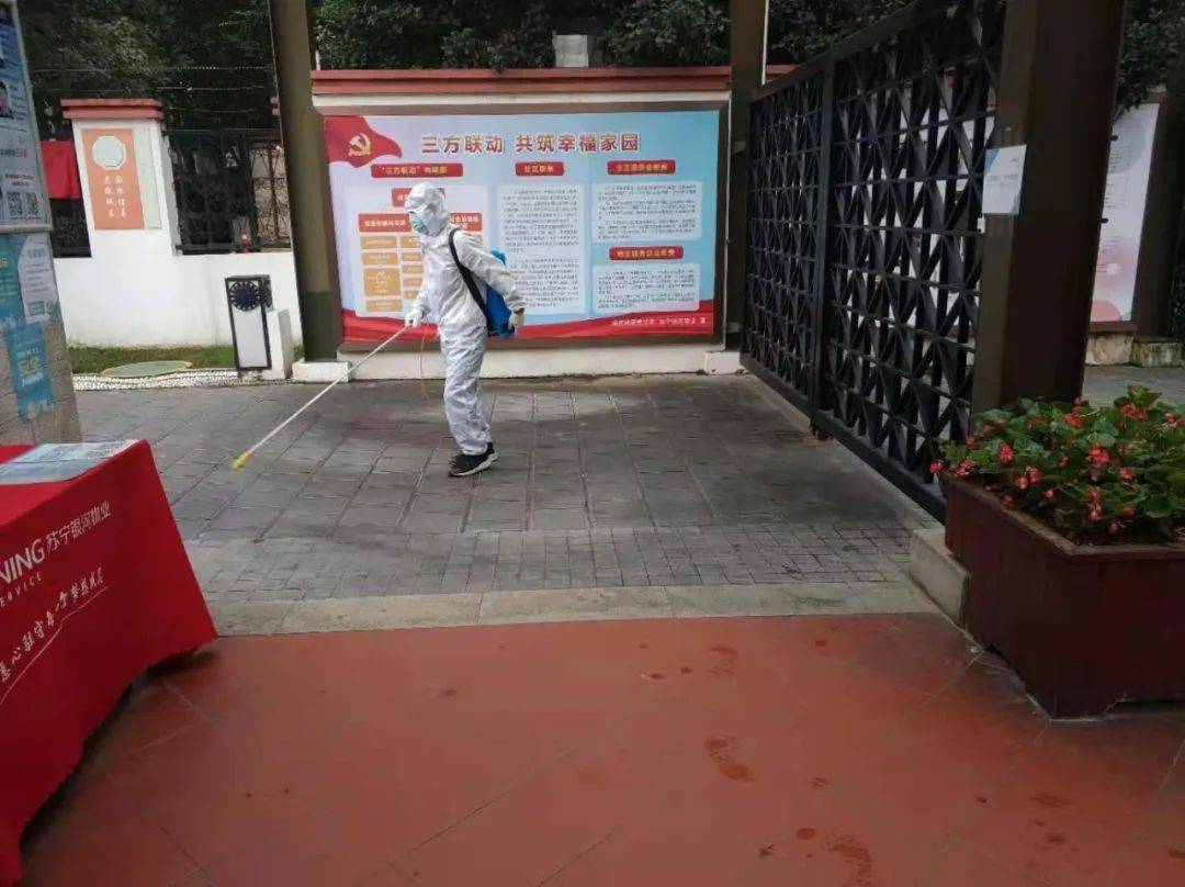 重庆市疫情防控官网，筑牢防线，守护山城健康安全