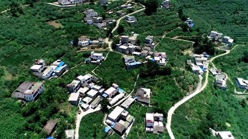 长沙县龙华村，乡村新貌与振兴之路探秘