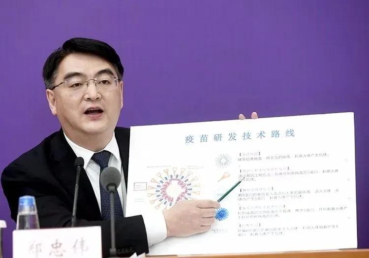 重庆市新疫情，挑战与应对策略解析