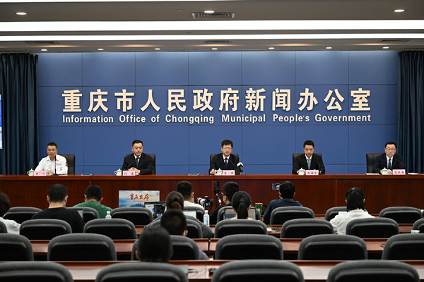 重庆南岸区疫情最新动态及其社会影响分析